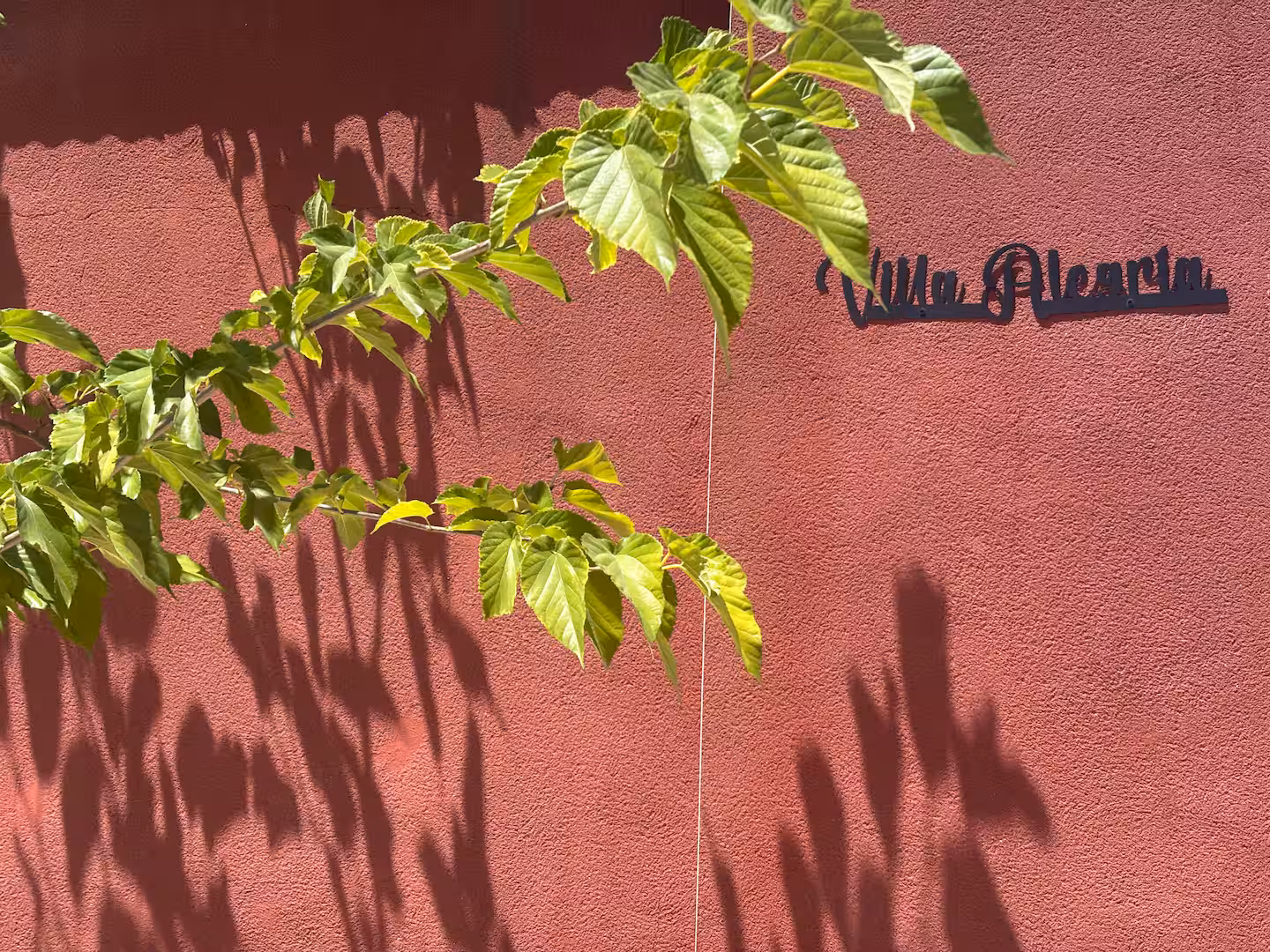 Villa Alegria en Instagram
